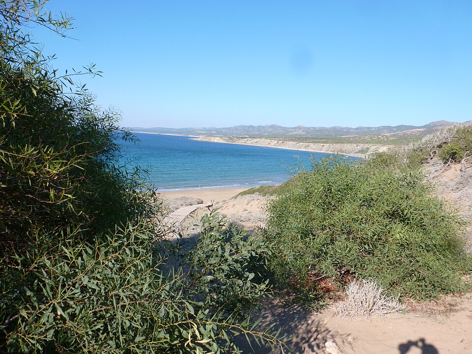 Coastal landscape at Lara Beach on the Akamas Peninsula